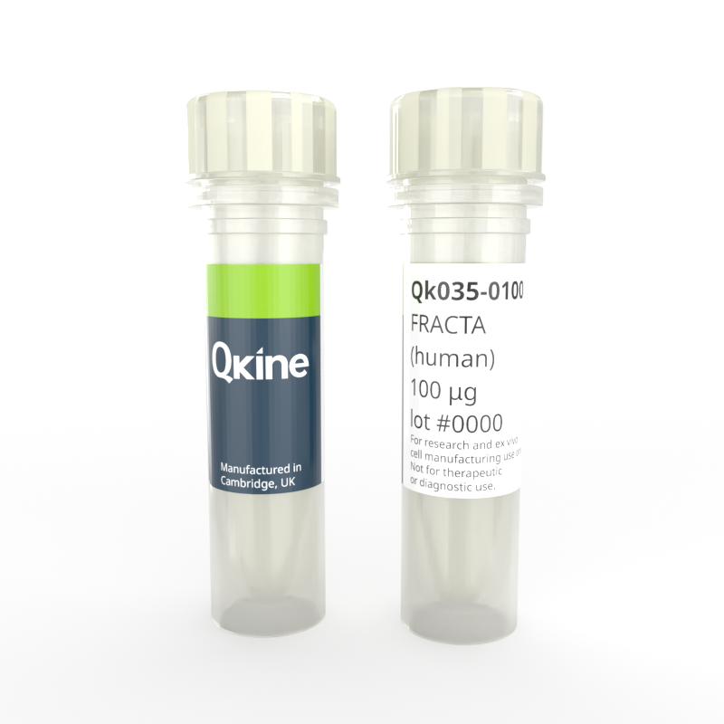 Recombinant human/mouse/rat follistatin-resistant activin A (FRACTA) protein