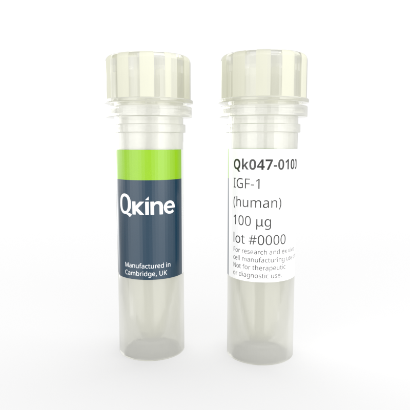 Recombinant human IGF-1 protein