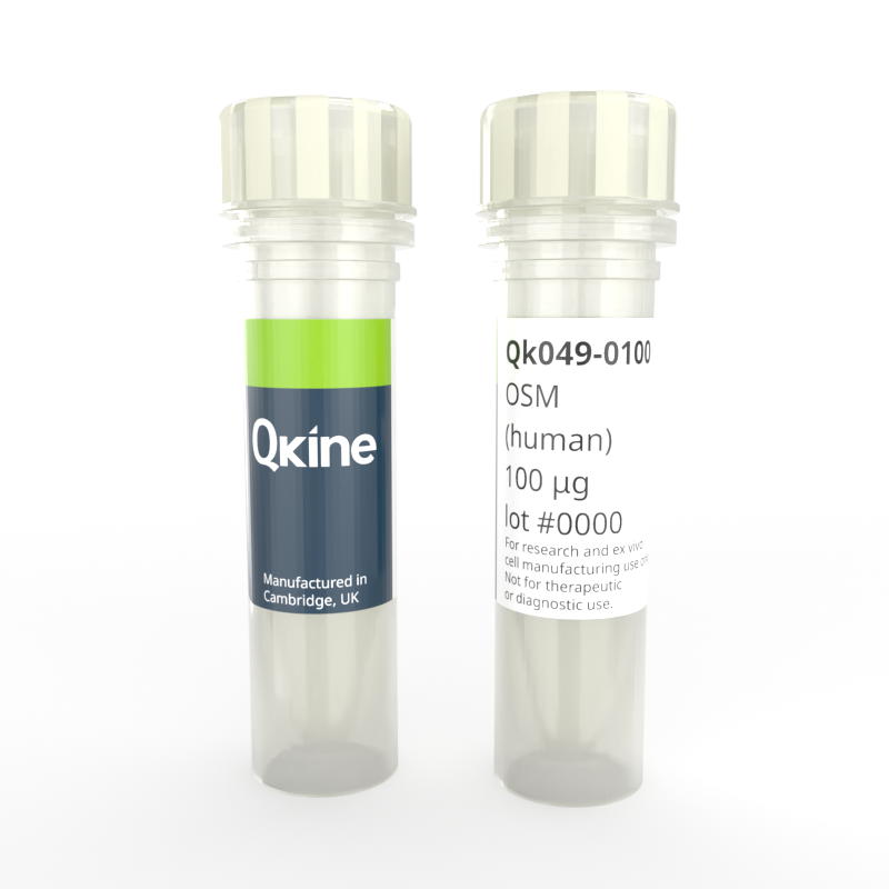 Recombinant human OSM protein