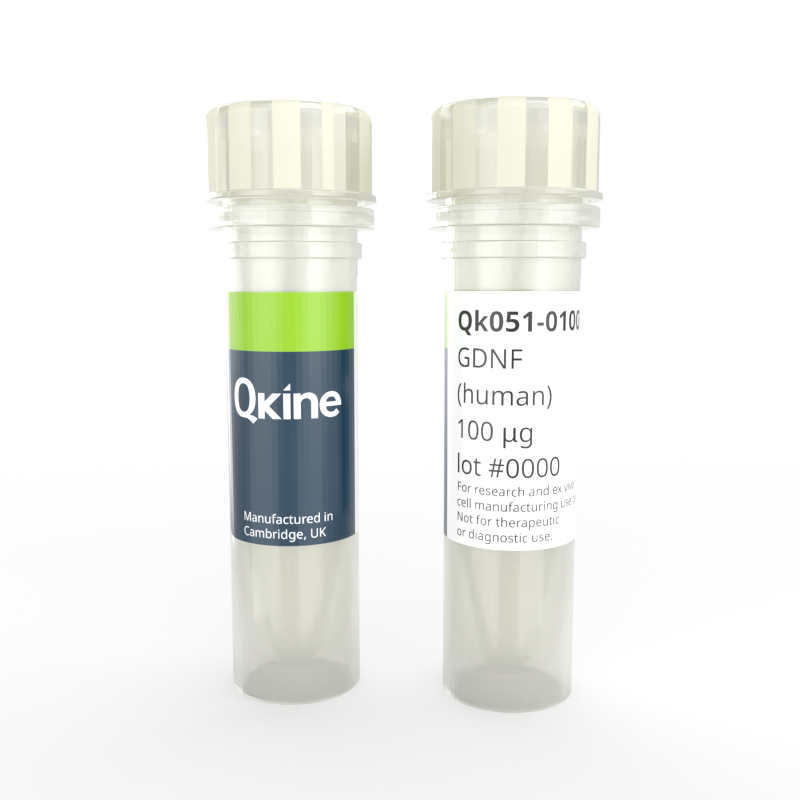 Recombinant human GDNF protein
