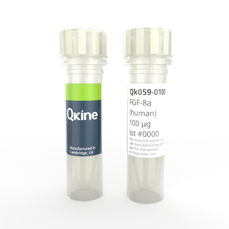 Recombinant human FGF-8a protein