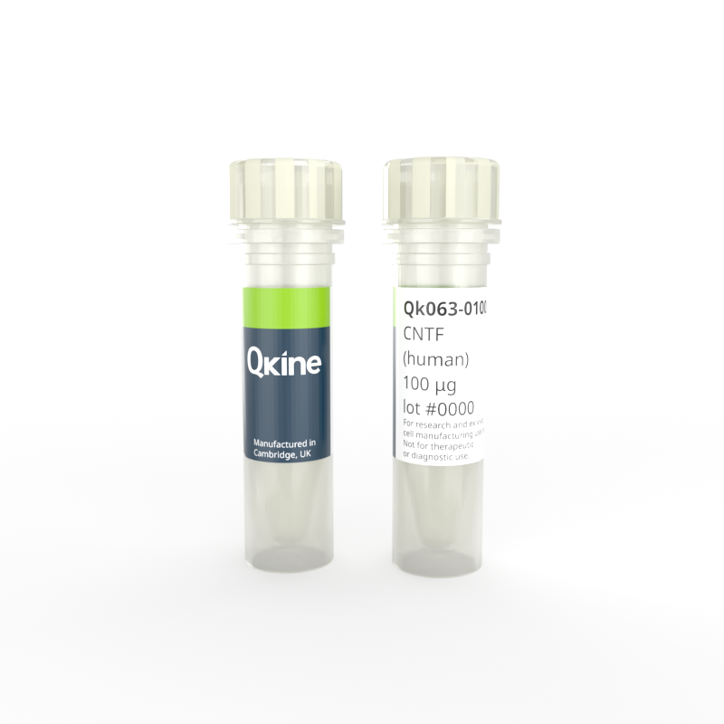 Recombinant human CNTF protein