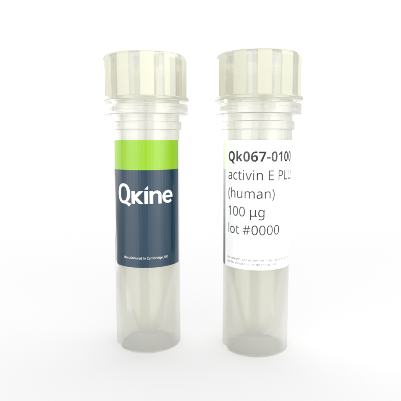 Recombinant human activin E PLUS™ protein