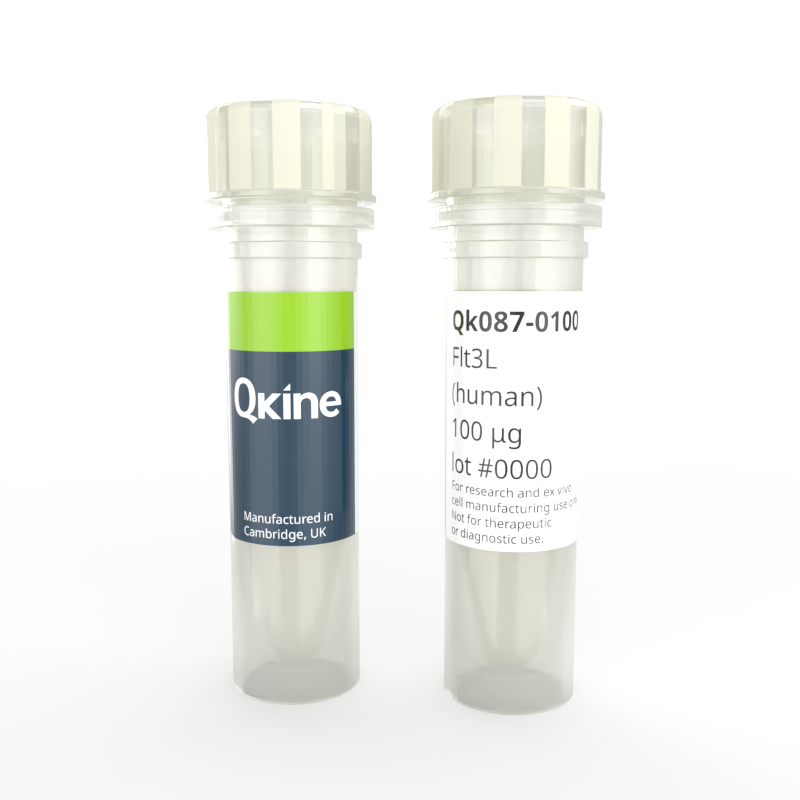 Recombinant human Flt-3 Ligand / Flt3L protein