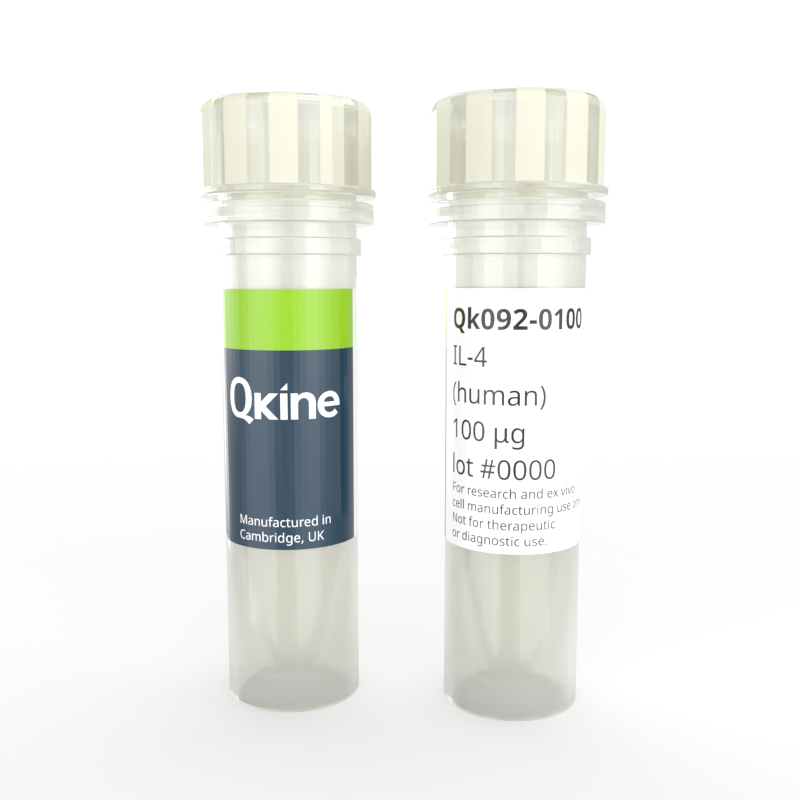 Recombinant human IL-4 protein
