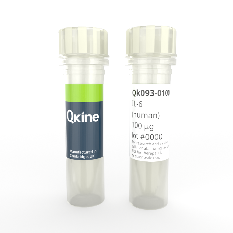 Recombinant human IL-6 protein