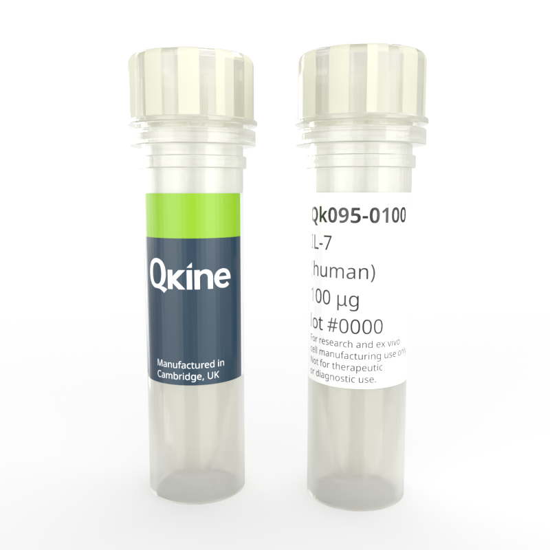 Recombinant human IL-7 protein