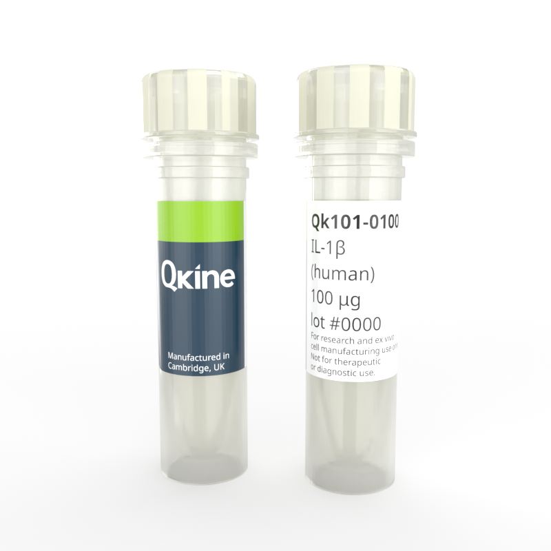 Recombinant human IL-1 beta protein