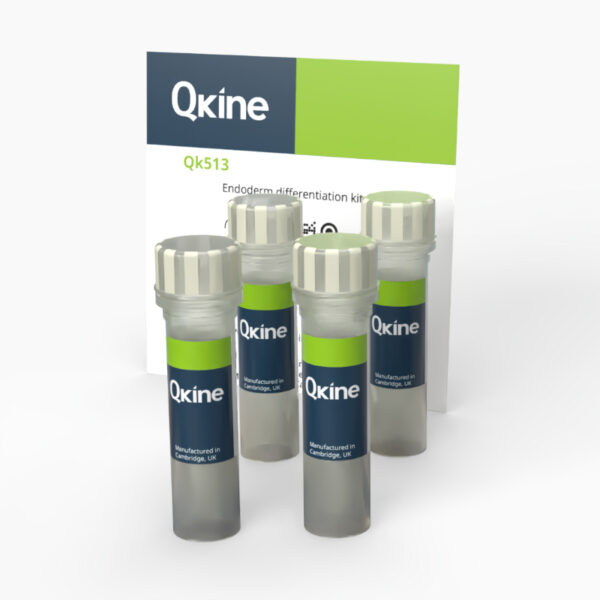 Endoderm differentiation kit