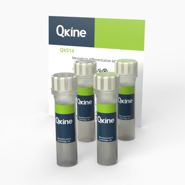 Mesoderm differentiation kit