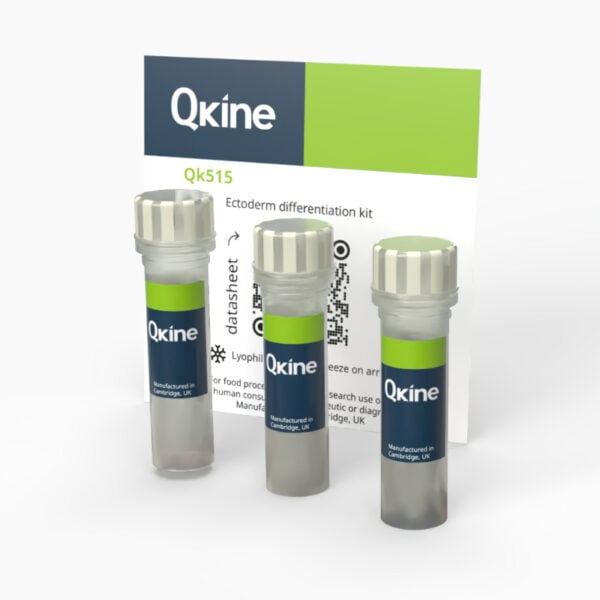 Ectoderm differentiation kit