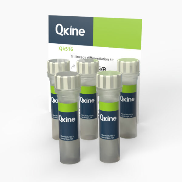 Tri-lineage differentiation kit
