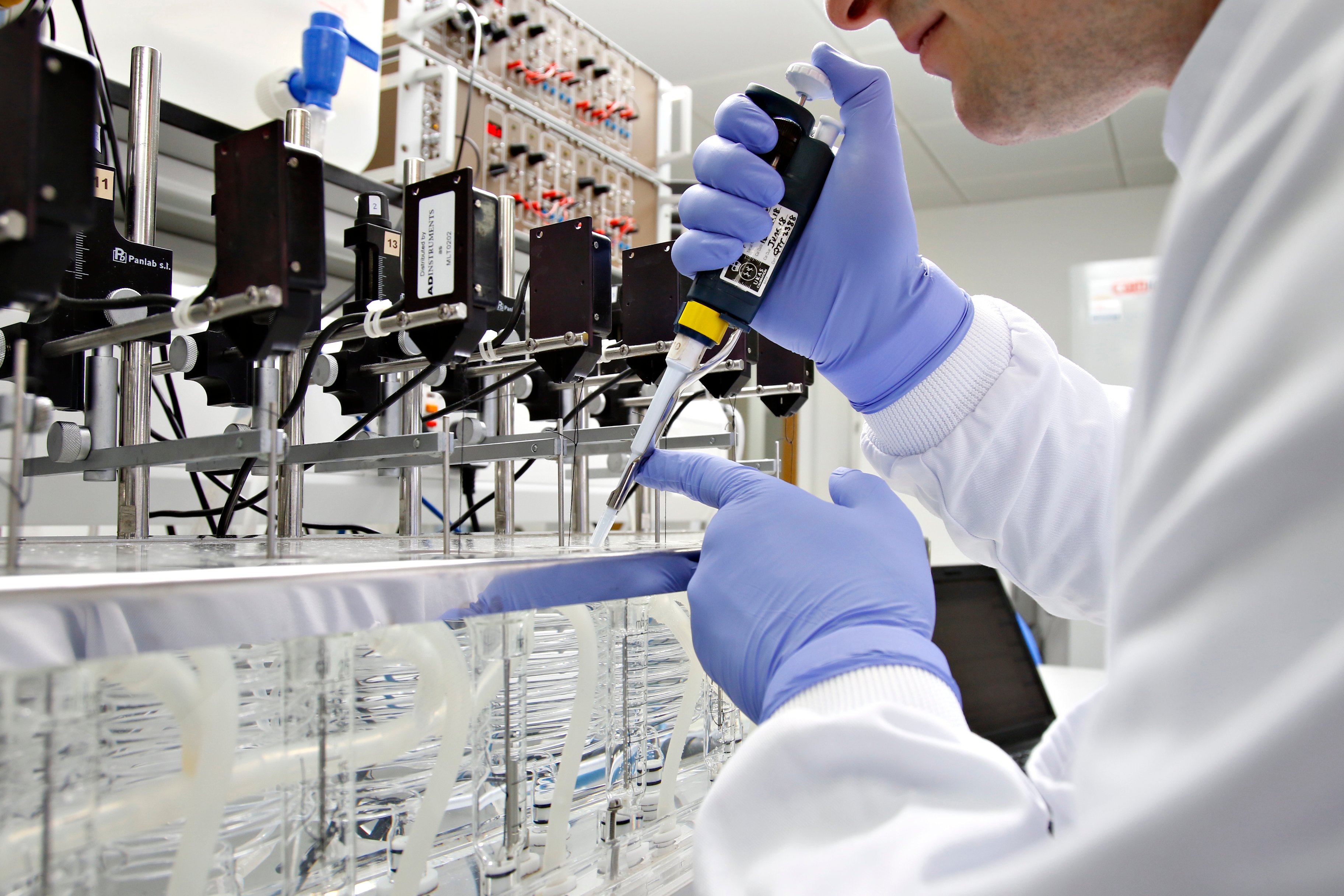 4 ways ex vivo models offer Pharma better alternatives to animal testing 4 ways ex vivo models offer Pharma better alternatives to animal testing