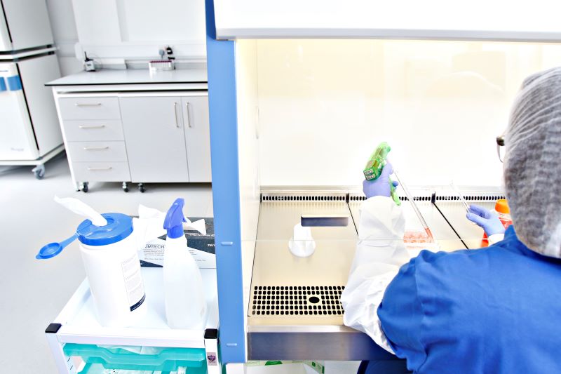 A Scientist performing cell culture work in MSC cabinet, REPROCELL