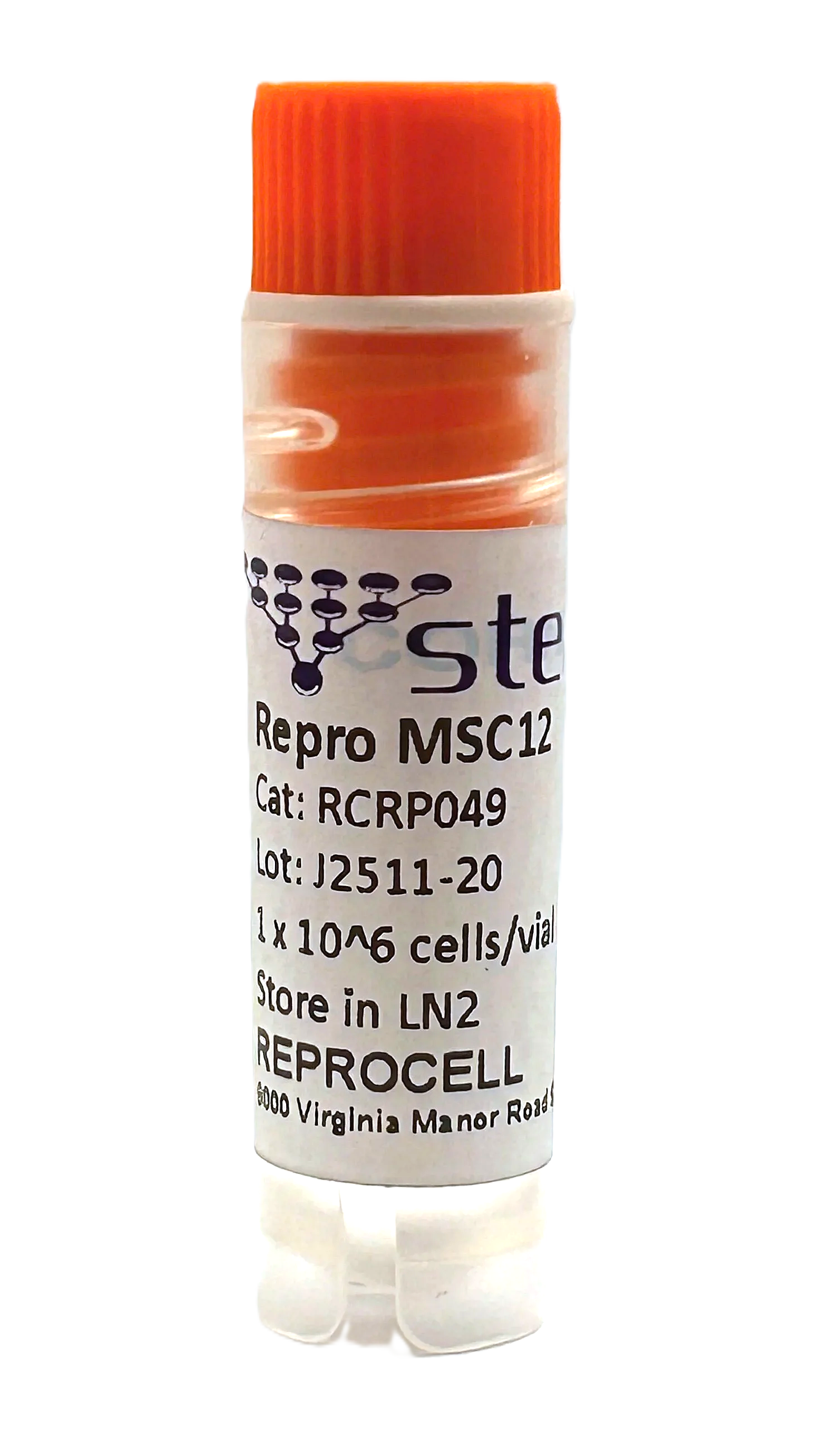 Repro MSC12 iPSC-derived MSCs, Phenol Red-Free