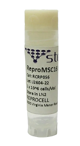 ReproMSC16 hTERT SV40