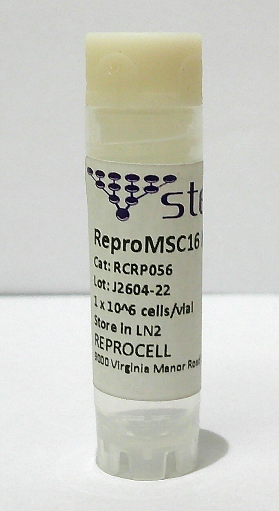 ReproMSC16 hTERT SV40