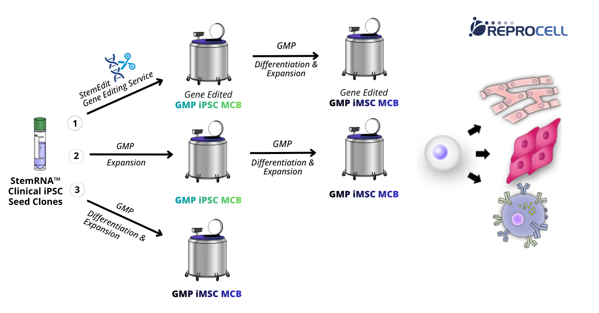 StemRNATM Clinical iPSC Seed Clones Final
