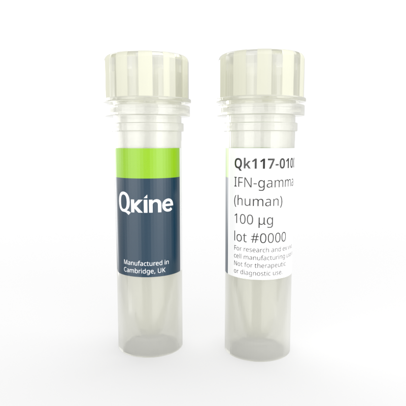 Recombinant human IFN-gamma protein
