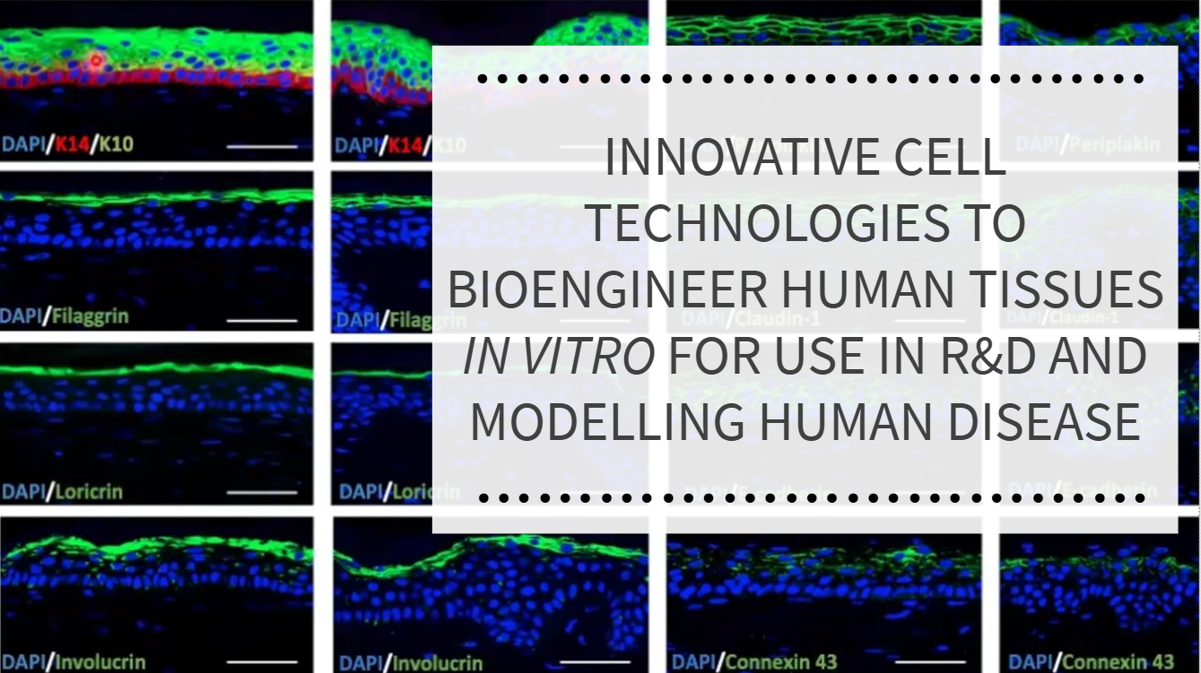 Webinar: Innovative Cell Technologies to Bioengineer Human Tissues In Vitro for Use in R&D and Modelling Human Disease