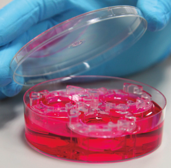 Alvetex® Well Insert Holder and Deep Petri Dish