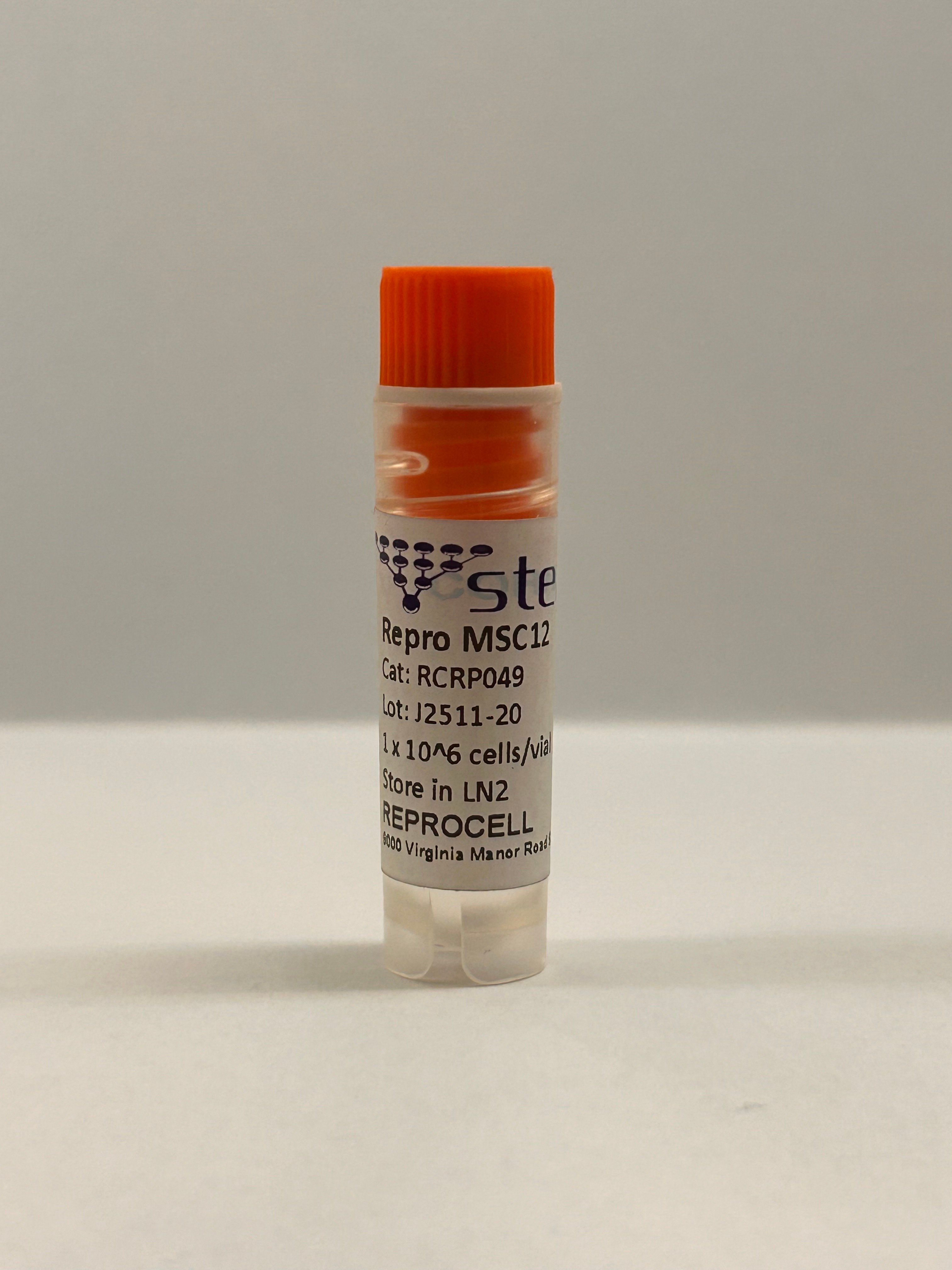 Repro MSC12 iPSC-derived MSCs, Phenol Red-Free